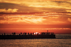 117116399_3261901280564403_5508081632818398135_o