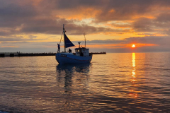 66395737_10219849446965631_3551346145953316864_n