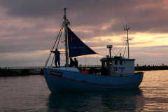 66453266_10219849449005682_4786336920739250176_n